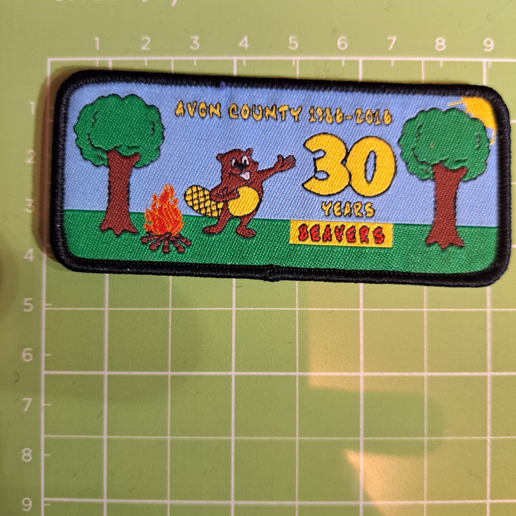 Scout Fabric Badge